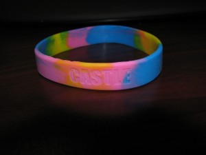 tasc-convention-march-2009-0021